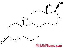 Тестостерон