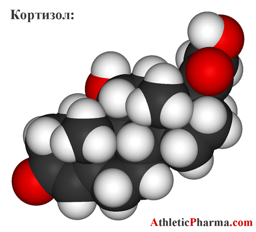 Кортизол