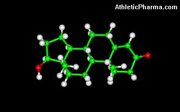 Testosterone