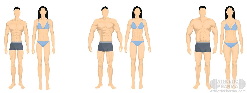 body_types.jpg